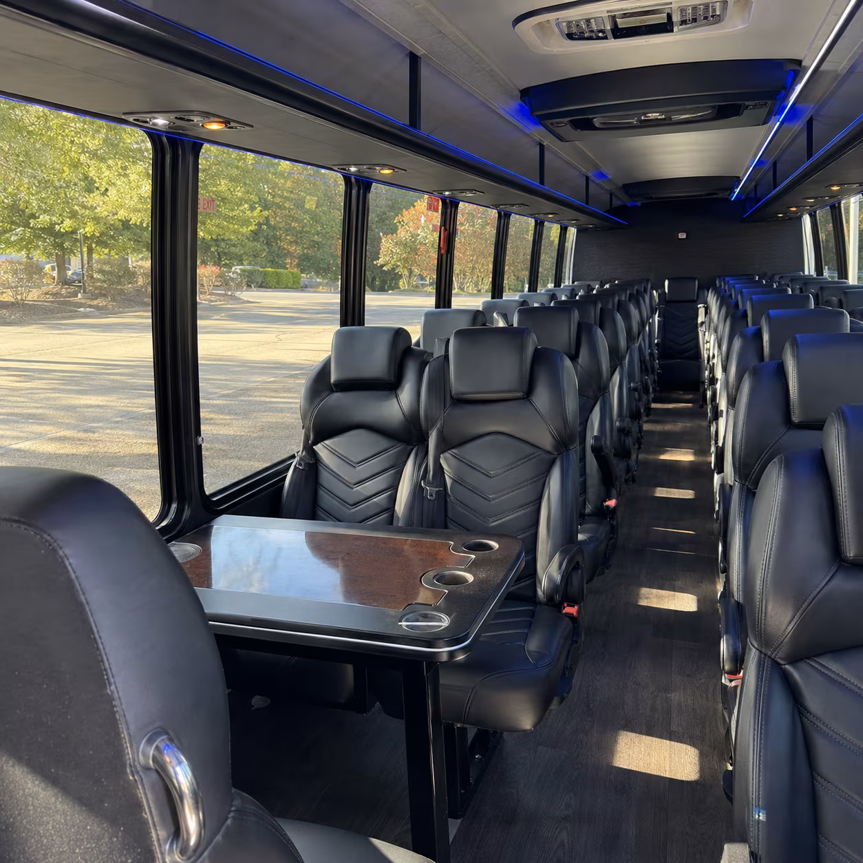 temecula 28 passenger minibus inside